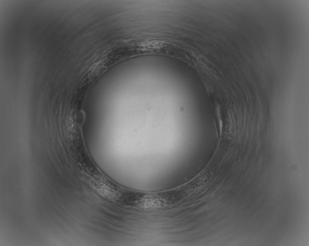 X0000051250608200507011654