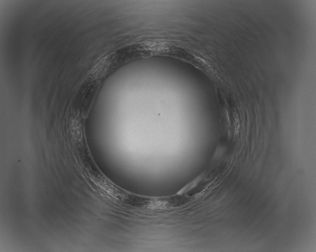 X0000051250609200507011654