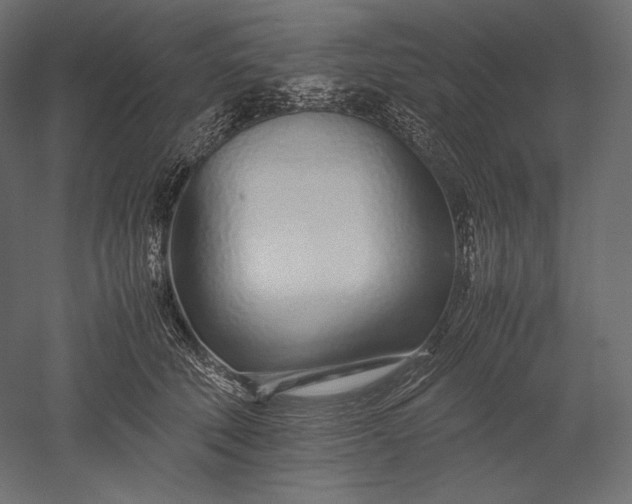 X0000051250610200507011654