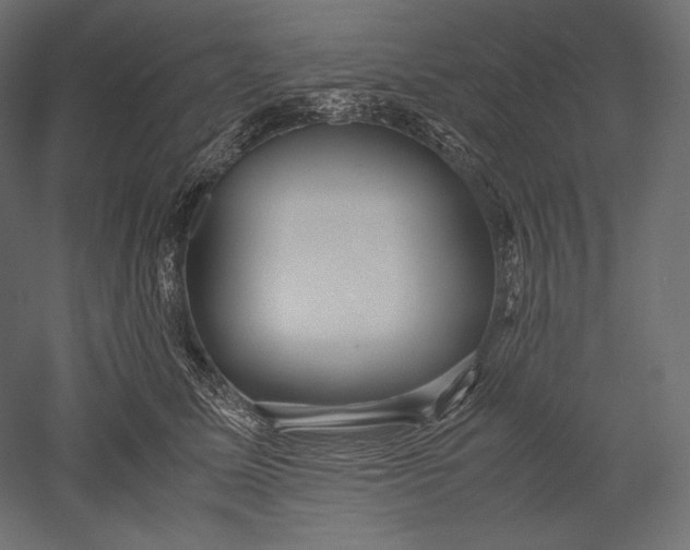 X0000051250611200507011654