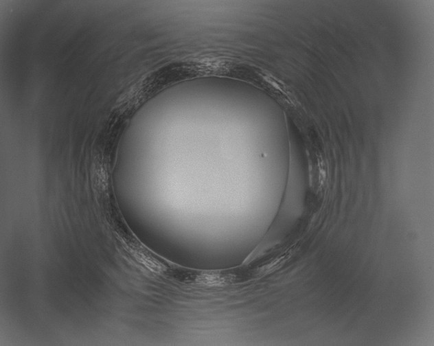 X0000051250613200507011654