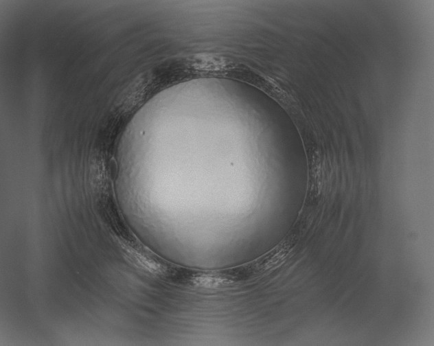 X0000051250614200507011654