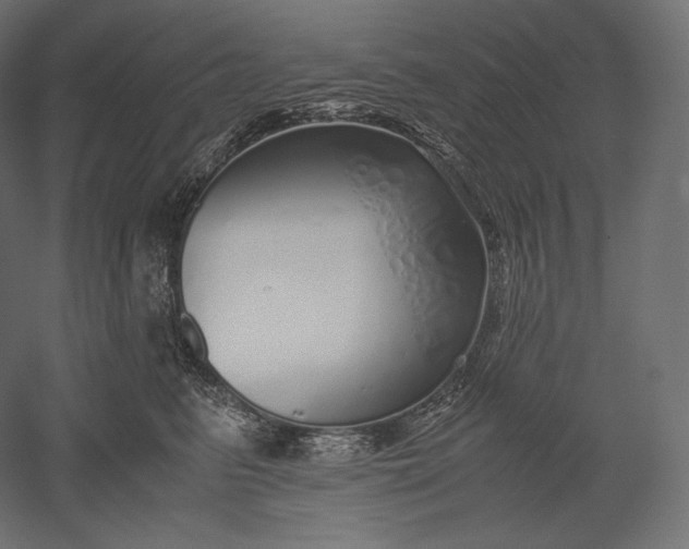 X0000051250615200507011654