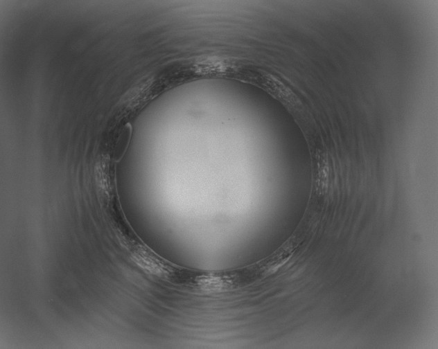 X0000051250616200507011654