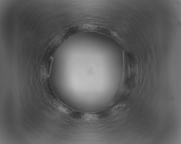 X0000051250617200507011654