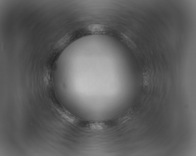 X0000051250618200507011654