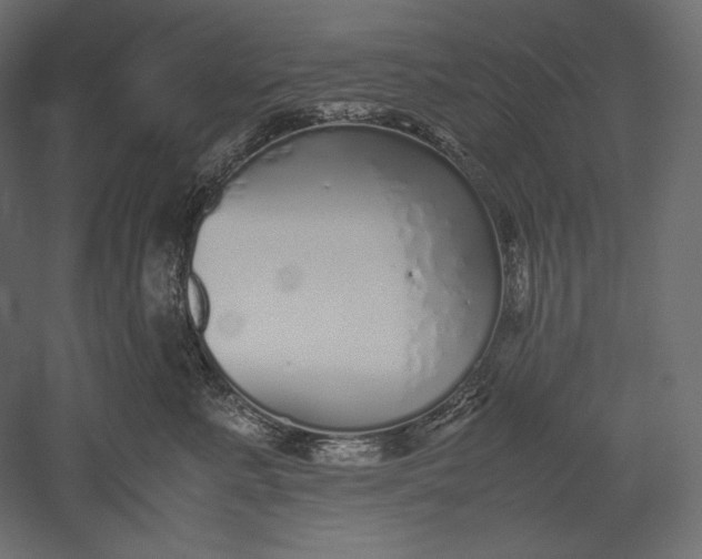 X0000051250619200507011654