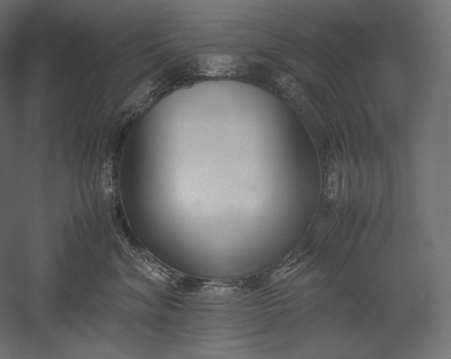 X0000051250620200507011654