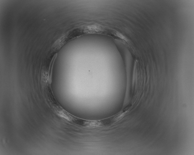 X0000051250621200507011654