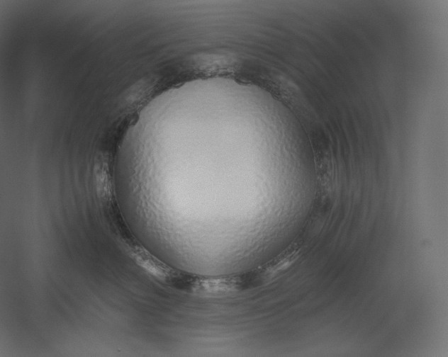 X0000051250622200507011654