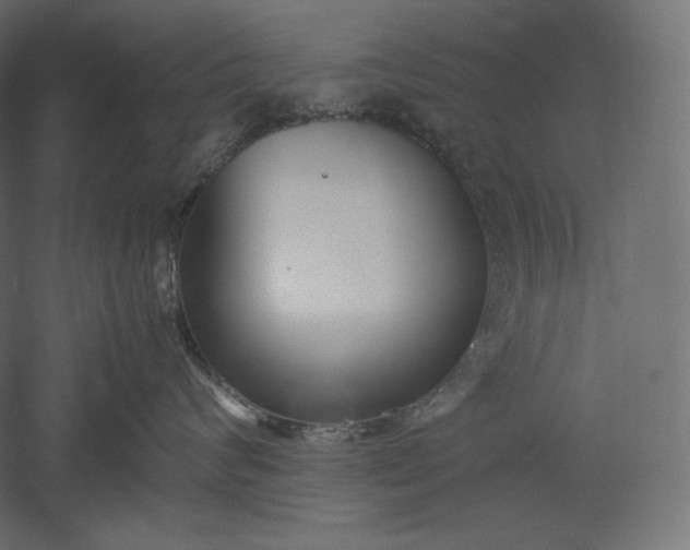 X0000051250624200507011654