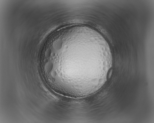 X0000051250625200507011653