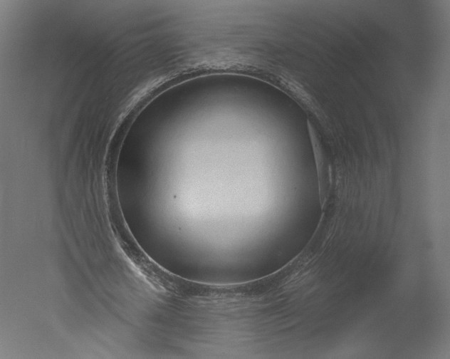 X0000051250626200507011653