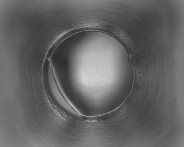 X0000051250628200507011653