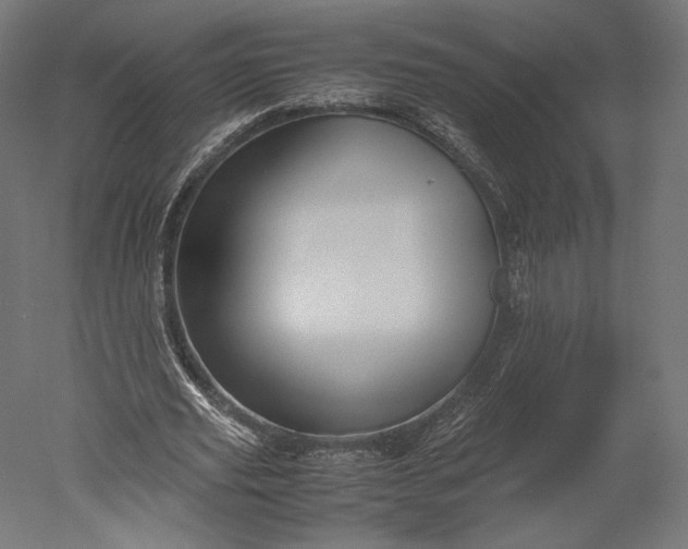 X0000051250629200507011653