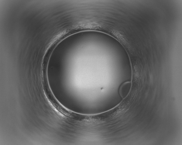 X0000051250630200507011653