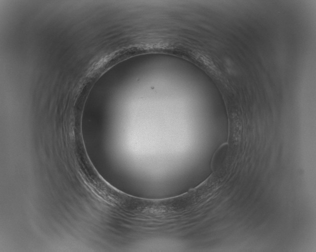 X0000051250631200507011653