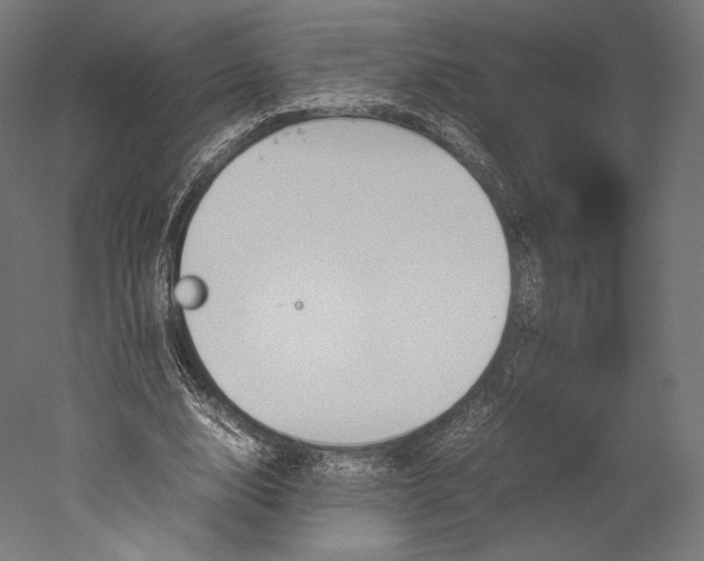 X0000051250632200507011653