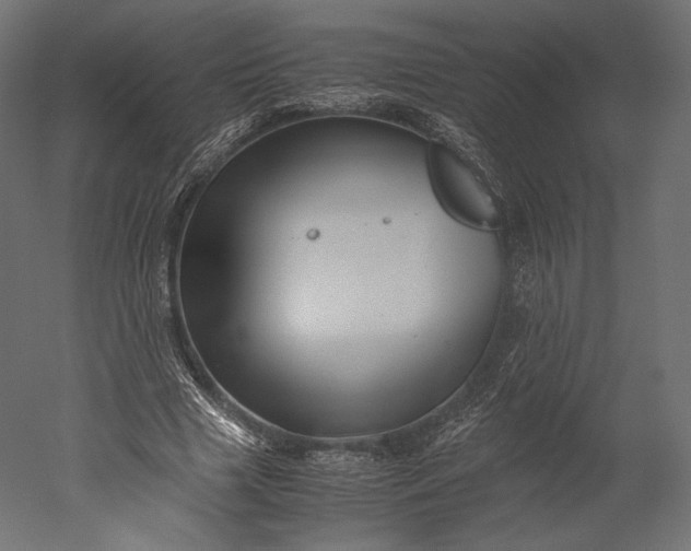 X0000051250633200507011653