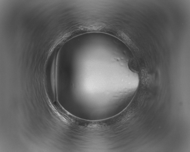 X0000051250634200507011653