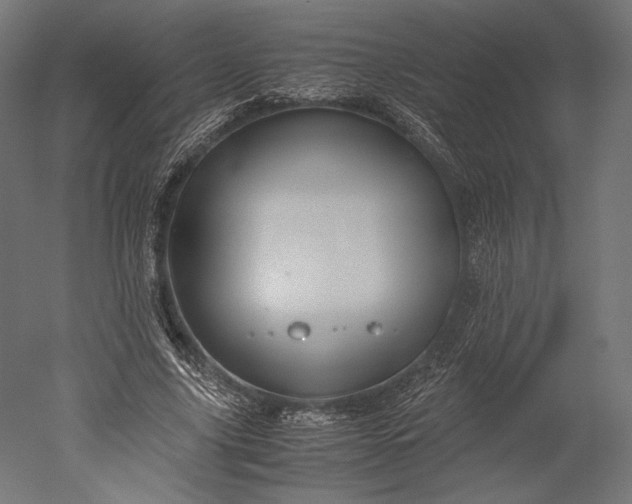 X0000051250635200507011653