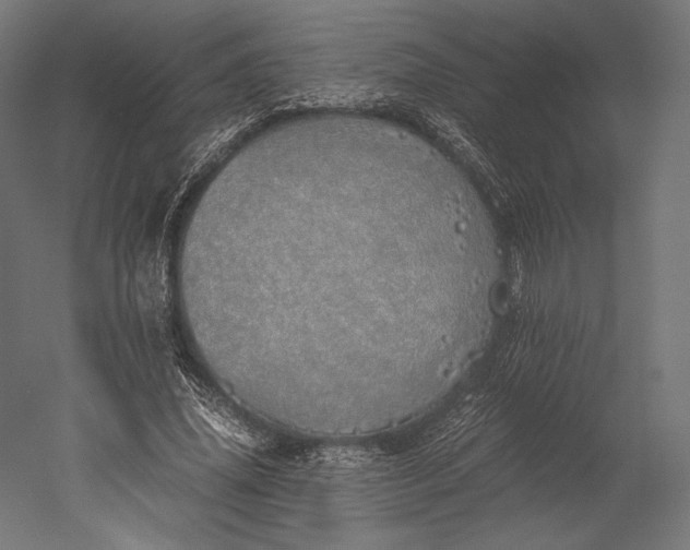 X0000051250636200507011653