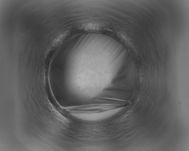 X0000051250637200507011653