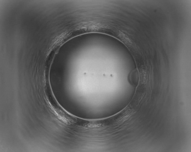 X0000051250638200507011653