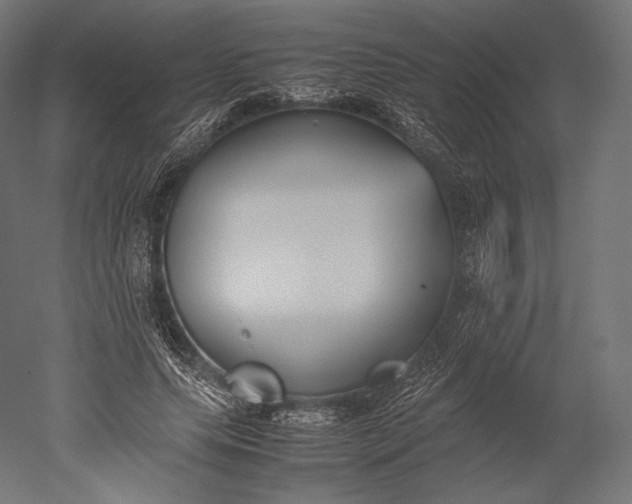 X0000051250639200507011653