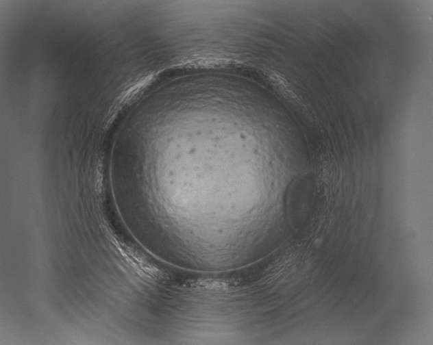 X0000051250640200507011653