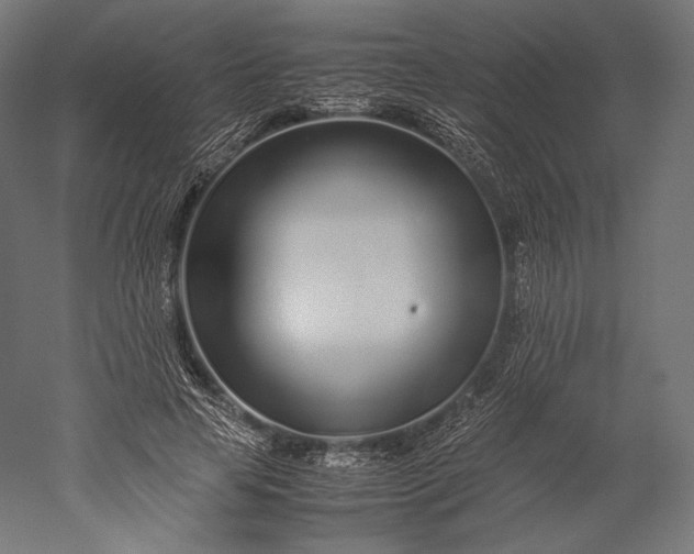 X0000051250641200507011653