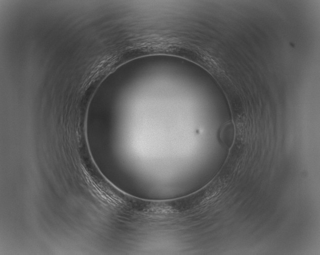 X0000051250642200507011653