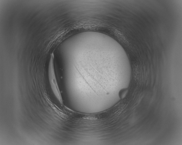 X0000051250644200507011653