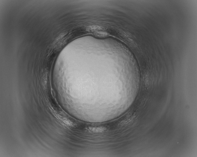 X0000051250645200507011653