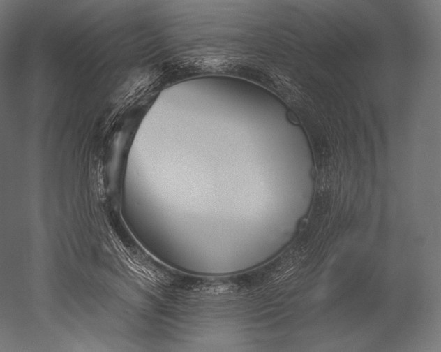 X0000051250646200507011653