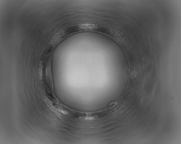 X0000051250647200507011653