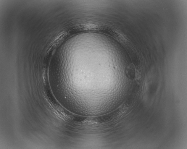 X0000051250648200507011653