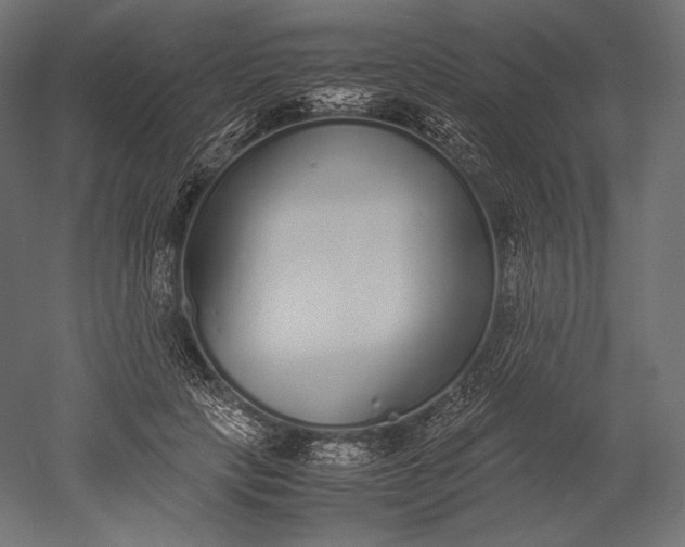 X0000051250649200507011653