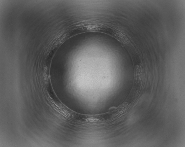 X0000051250650200507011653