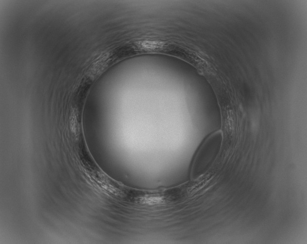 X0000051250651200507011653