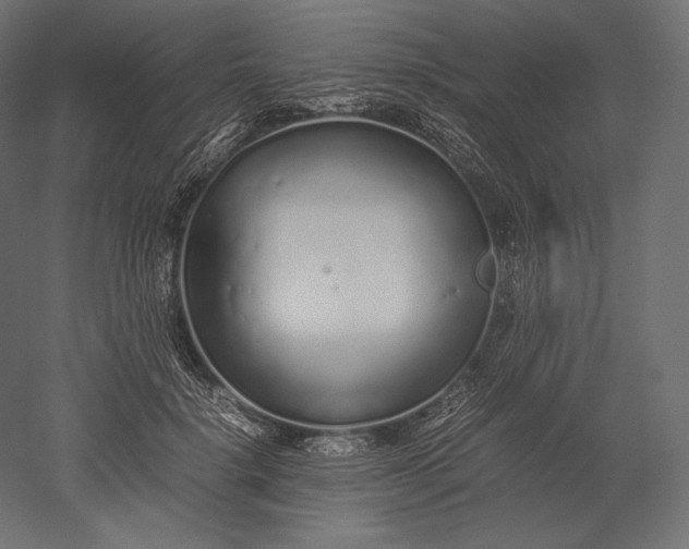 X0000051250652200507011653