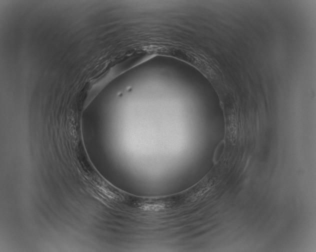 X0000051250653200507011653