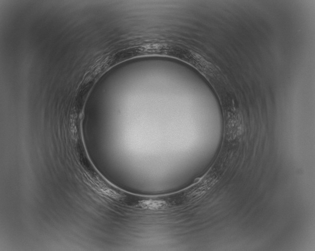 X0000051250654200507011653