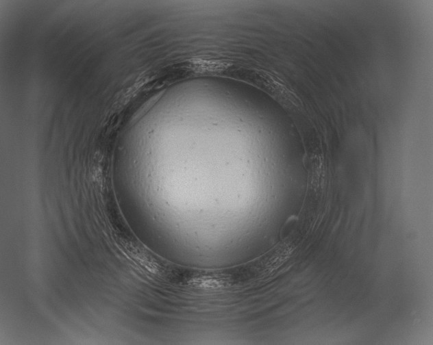 X0000051250655200507011653