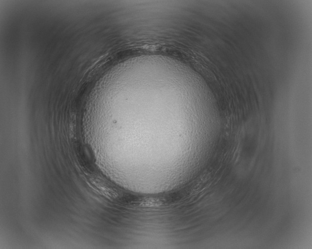 X0000051250656200507011653