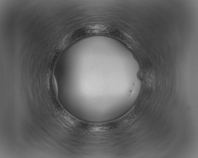 X0000051250657200507011653