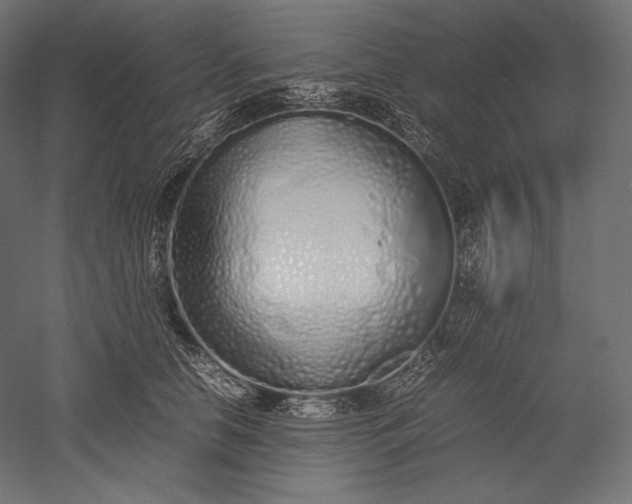 X0000051250658200507011653