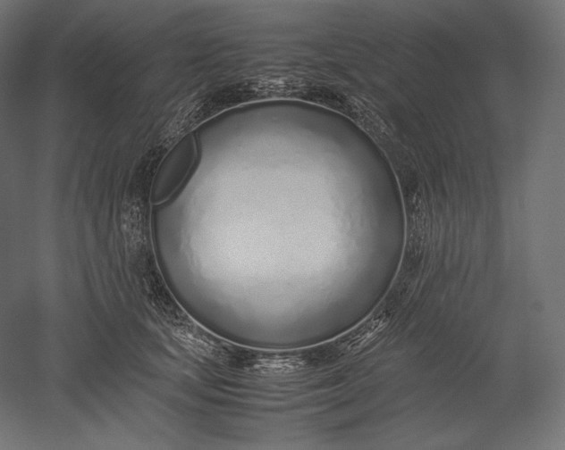 X0000051250659200507011653