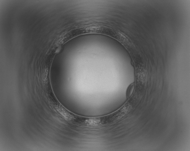 X0000051250660200507011653