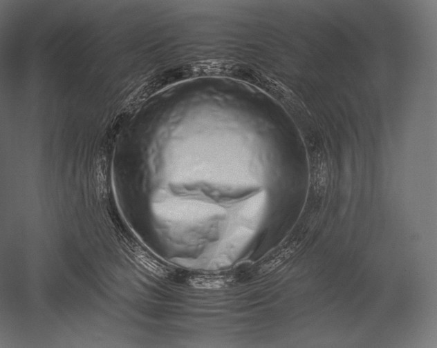 X0000051250661200507011653